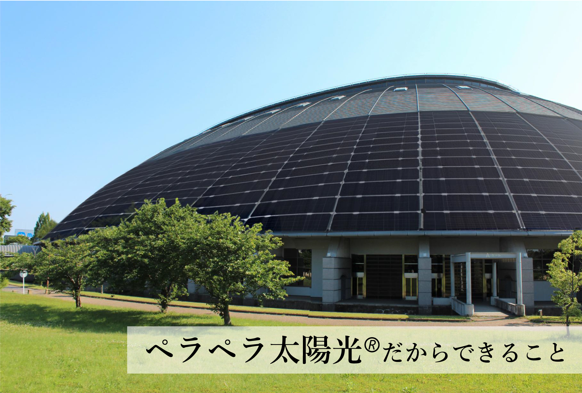 曲がる!薄い!軽い!重塩害地域対応パネル